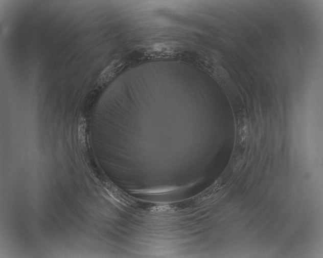 X0000055970231200509091452