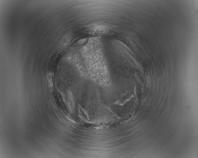 X0000055970232200509091452