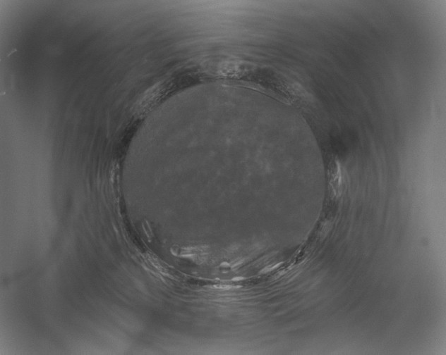 X0000055970233200509091452