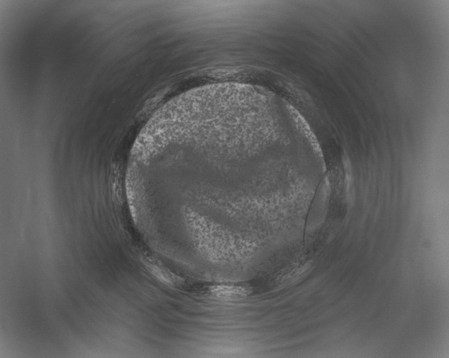 X0000055970234200509091452