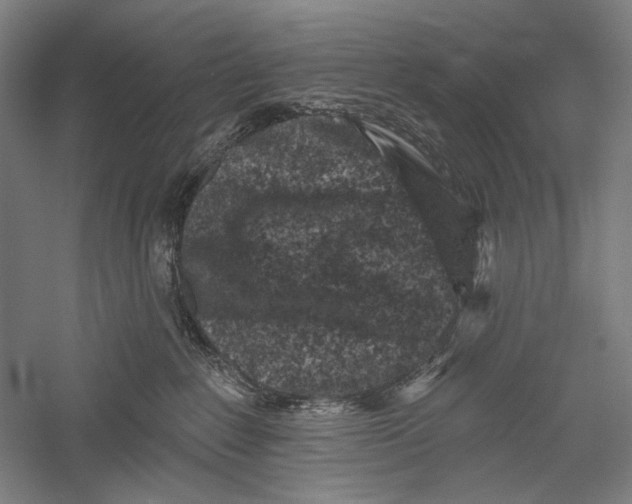X0000055970235200509091452