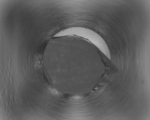 X0000055970237200509091452