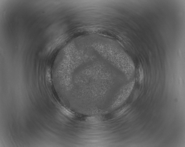 X0000055970238200509091452