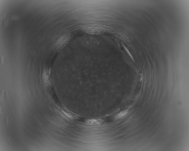 X0000055970239200509091452