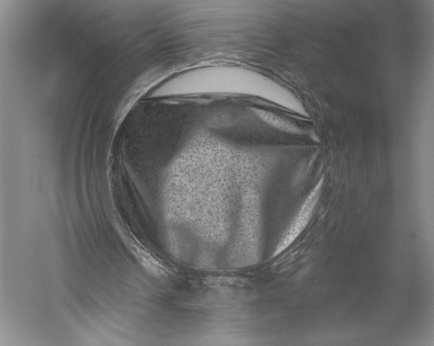 X0000055970242200509091451