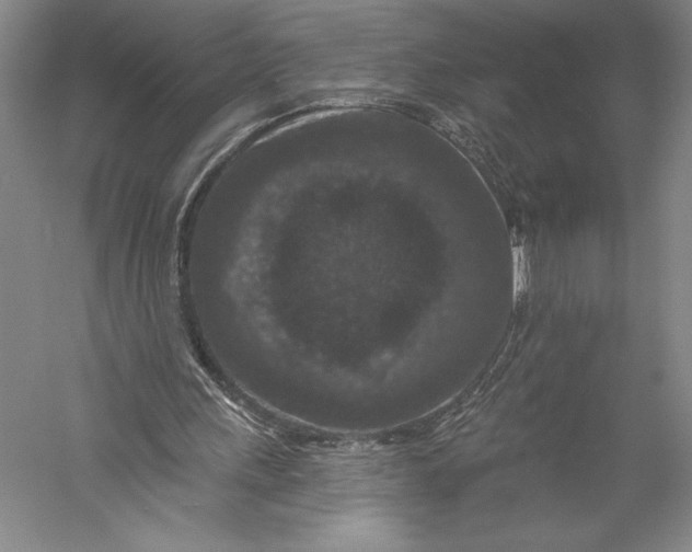 X0000055970243200509091451