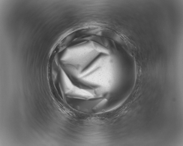X0000055970244200509091451