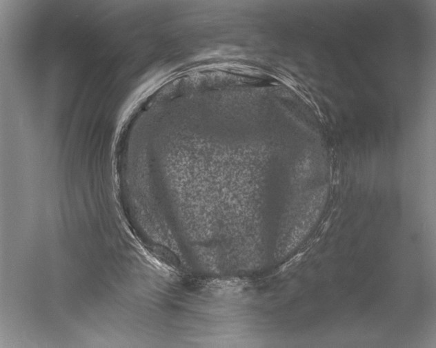 X0000055970245200509091451