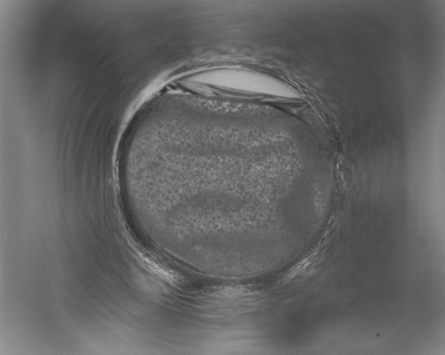 X0000055970246200509091451