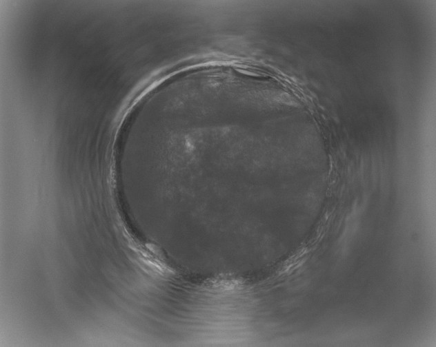 X0000055970247200509091451