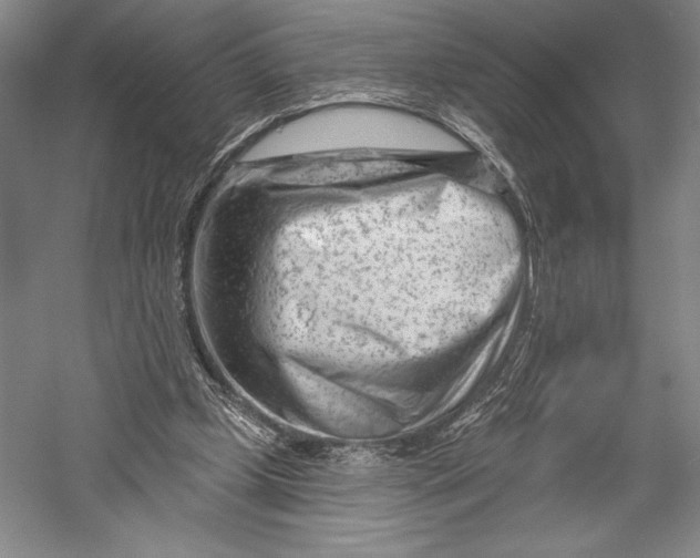 X0000055970249200509091451