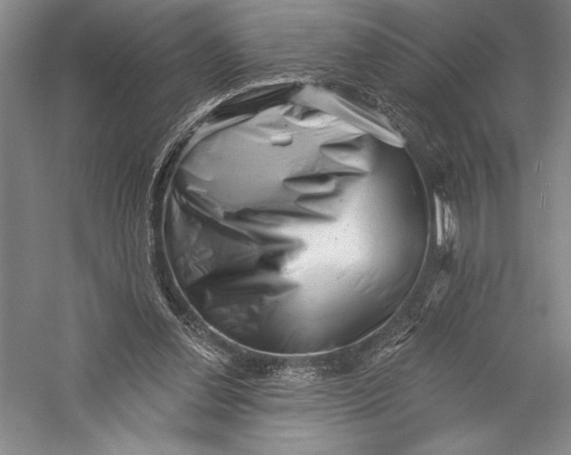 X0000055970252200509091451