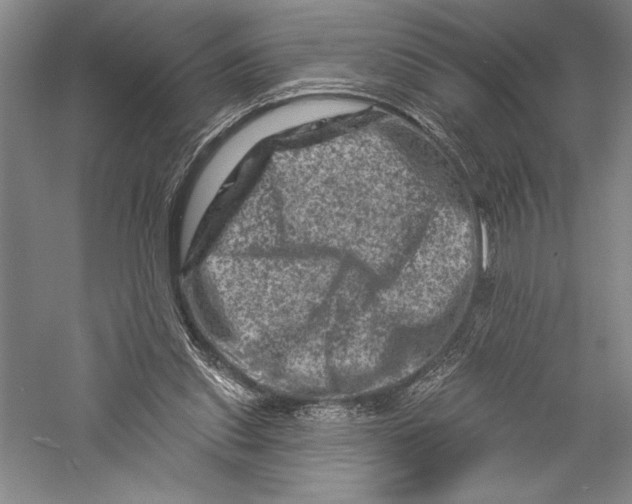 X0000055970253200509091451