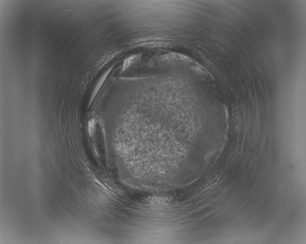 X0000055970255200509091451