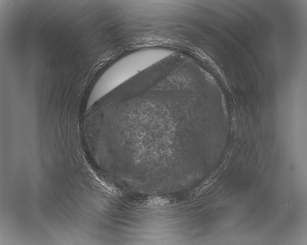 X0000055970257200509091451
