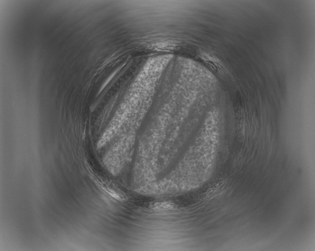 X0000055970262200509091452
