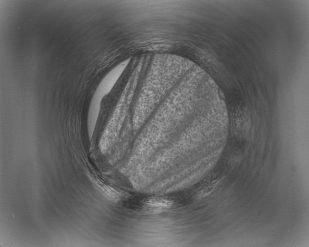 X0000055970263200509091452