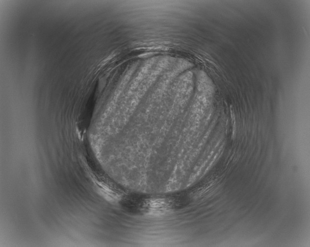 X0000055970264200509091452