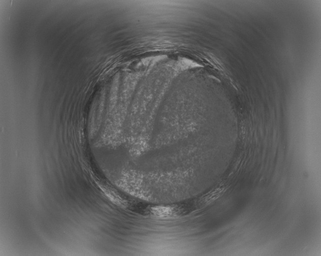 X0000055970265200509091452