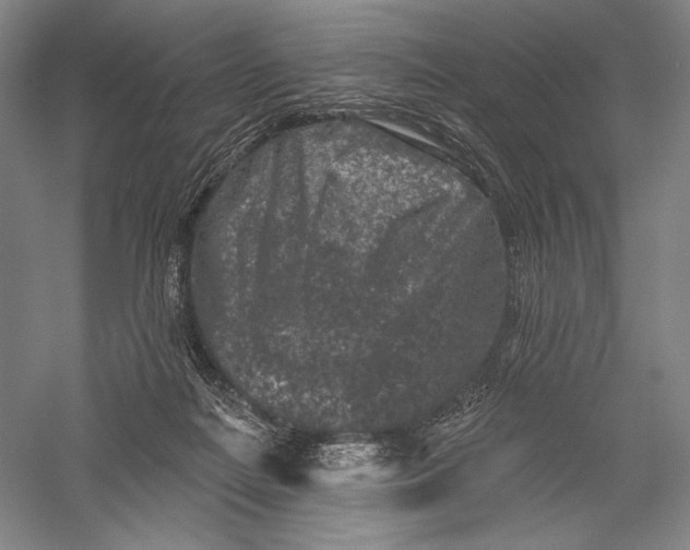 X0000055970266200509091452