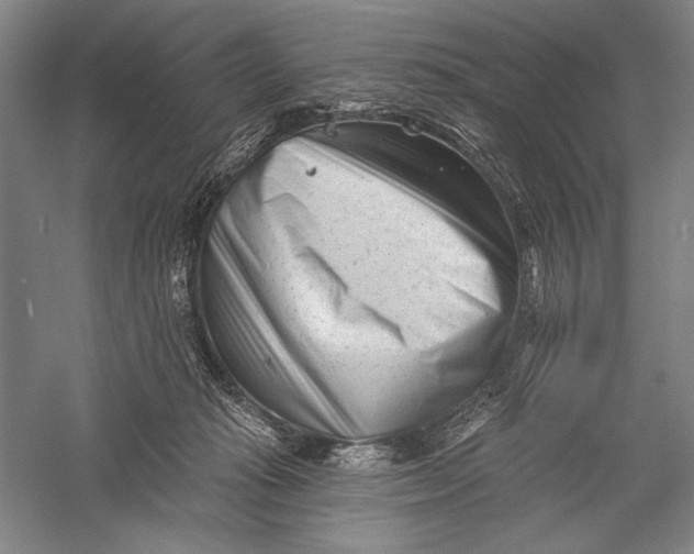X0000055970269200509091452
