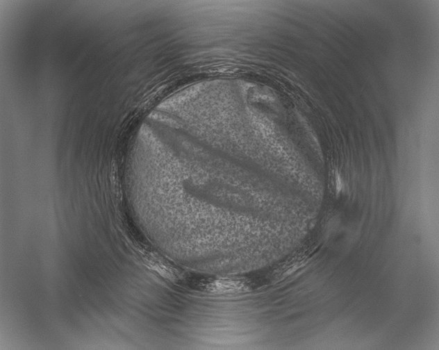X0000055970270200509091452