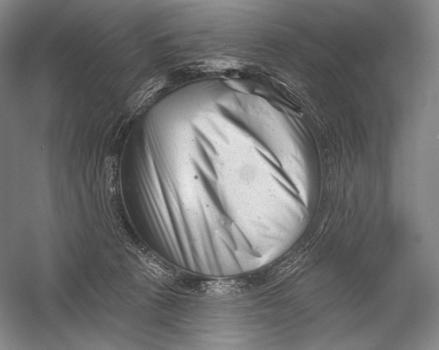 X0000055970273200509091452