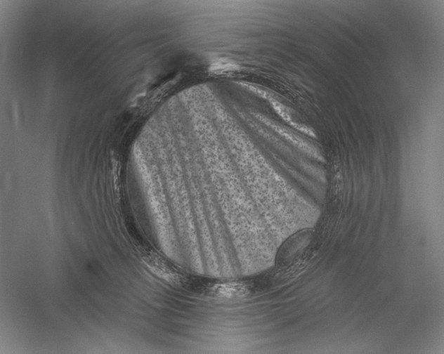 X0000055970275200509091452