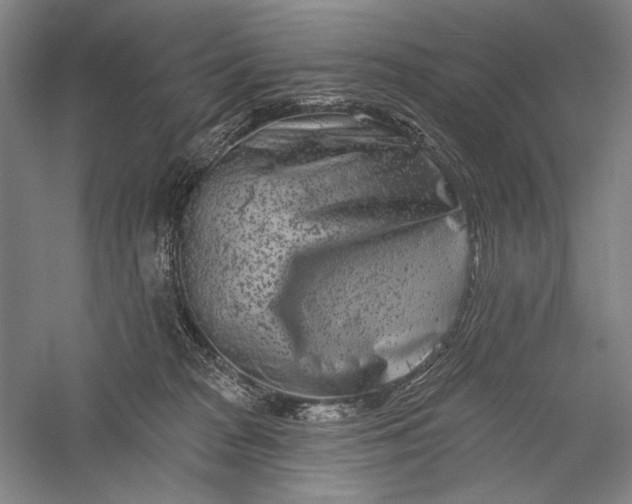 X0000055970277200509091452