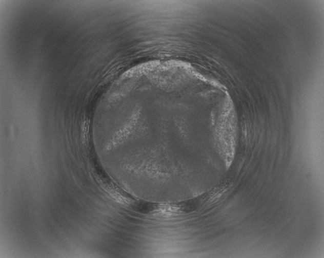 X0000055970278200509091452