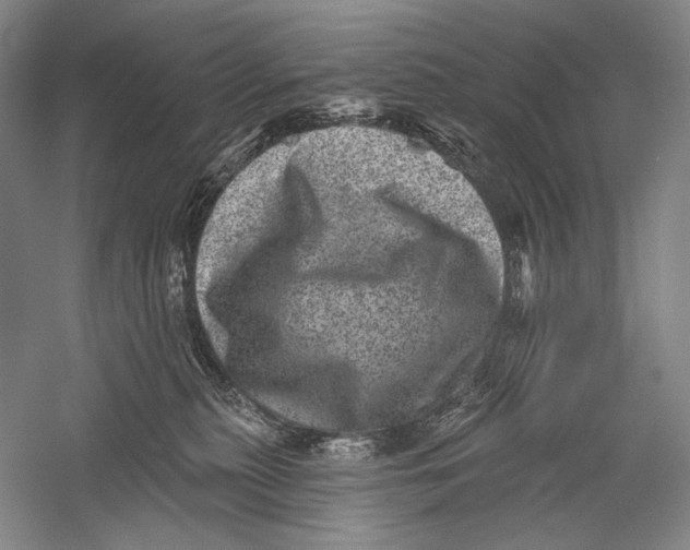 X0000055970279200509091452