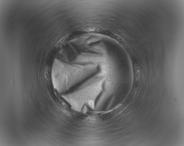 X0000055970280200509091452