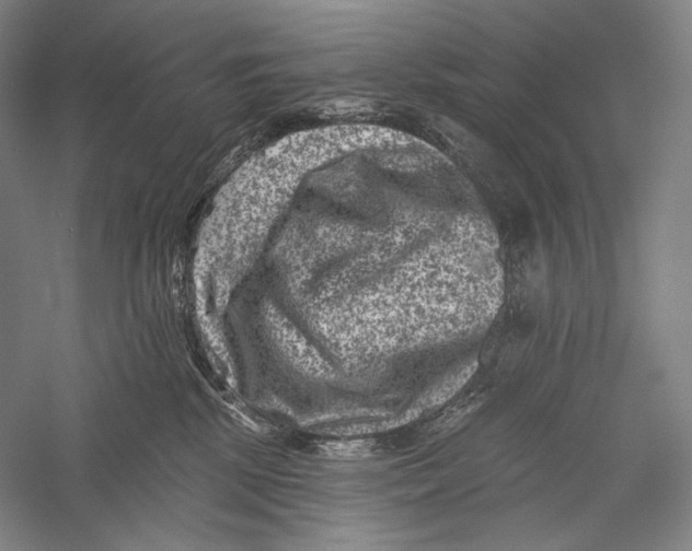 X0000055970281200509091452