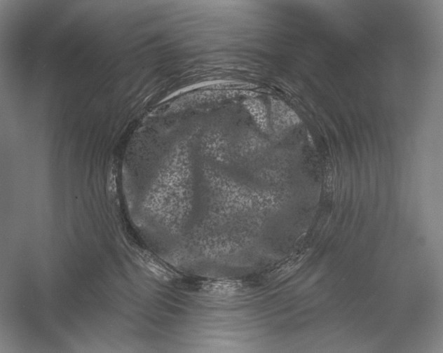 X0000055970282200509091452