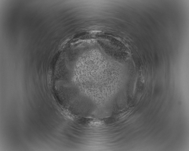 X0000055970283200509091452
