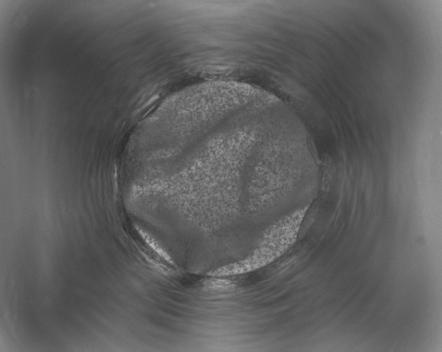 X0000055970287200509091452