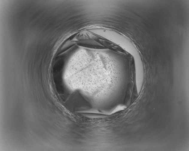 X0000055970289200509091451