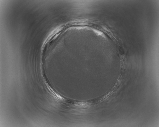 X0000055970293200509091451