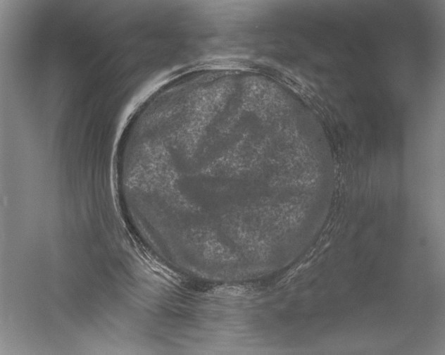 X0000055970294200509091451