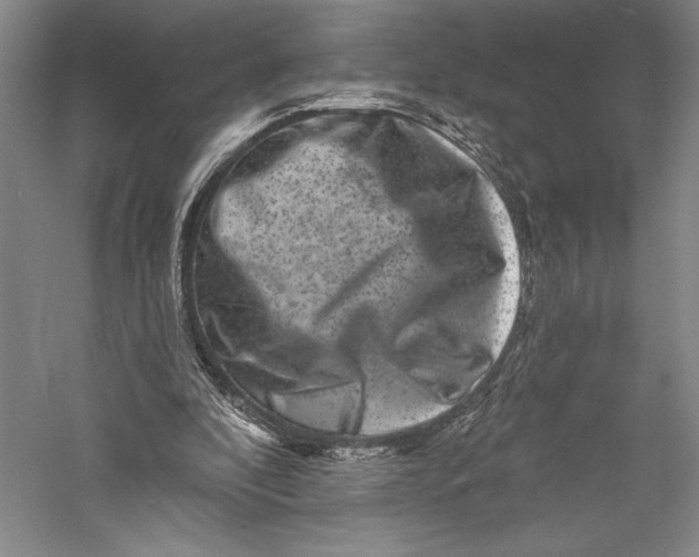 X0000055970296200509091451