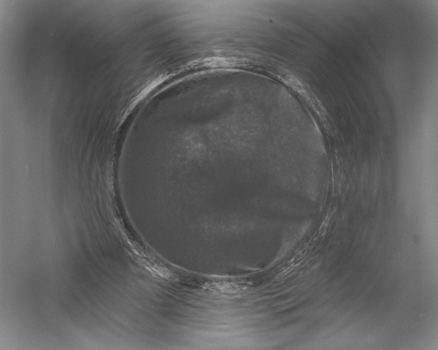 X0000055970297200509091451