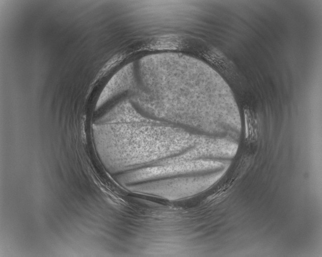 X0000055970300200509091451