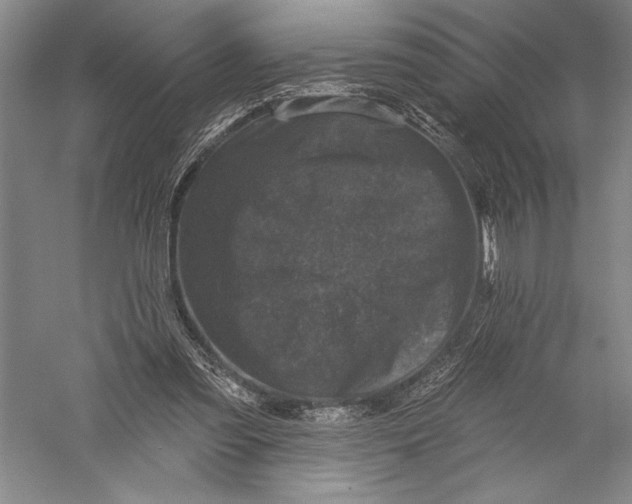 X0000055970301200509091451