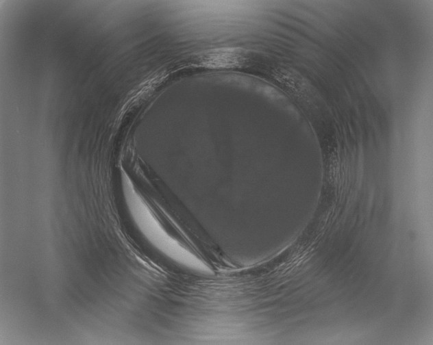X0000055970303200509091451