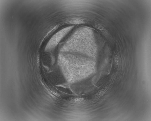 X0000055970304200509091451