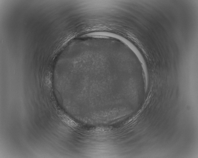 X0000055970305200509091451