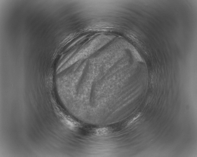 X0000055970309200509091451