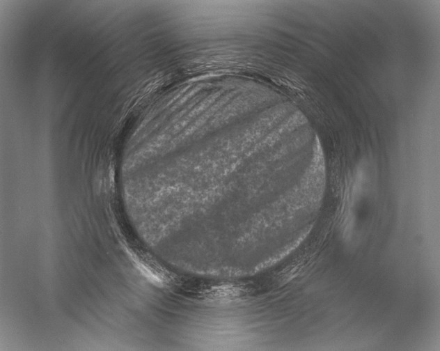 X0000055970310200509091451