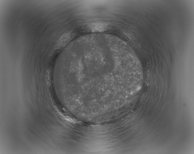 X0000055970311200509091451