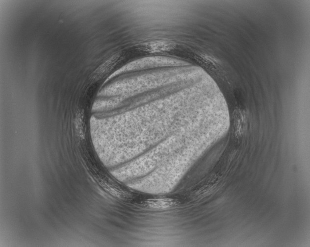 X0000055970316200509091451